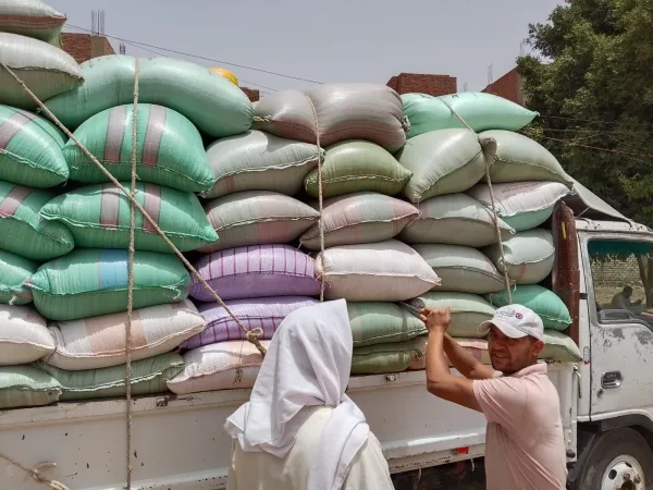 توريد القمح يواصل صحوته بالمنيا بالوصول لـ 508 آلاف طن هذا الموسم